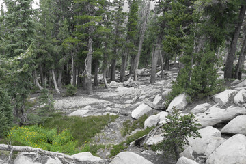 Landscape view in the mountains of Lake Tahoe from Nevada