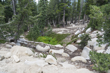 Landscape view in the mountains of Lake Tahoe from Nevada