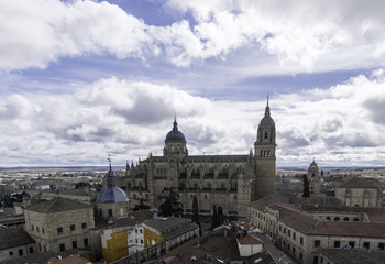 Fototapeta na wymiar View of the cathedral of Salamanca from one of the bell towers of the Clerecia