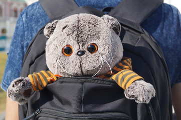 Plush cat leaned out of backpack