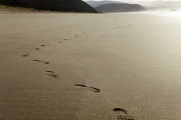Human footprints on sand of the Caribbean island at sunset