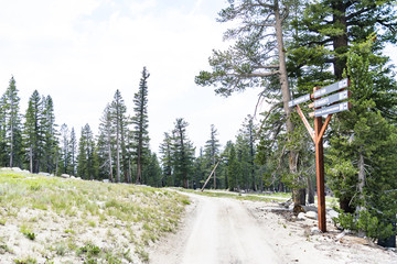 Landscape view in the mountains of Lake Tahoe from Nevada