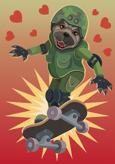 Dog pug loves skateboard/  Dog pug loves to skateboard he flies up to the sky and happy, and enjoys this flight on the Board!