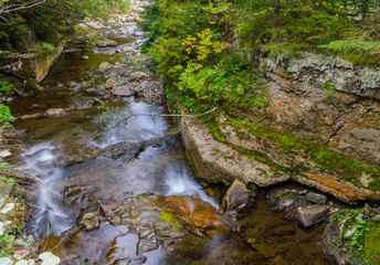 Obraz premium Small creek in the Carpathian Mountains in the autumn season