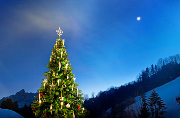 Weihnachtsbaum in einer Berglandschaft im Winter