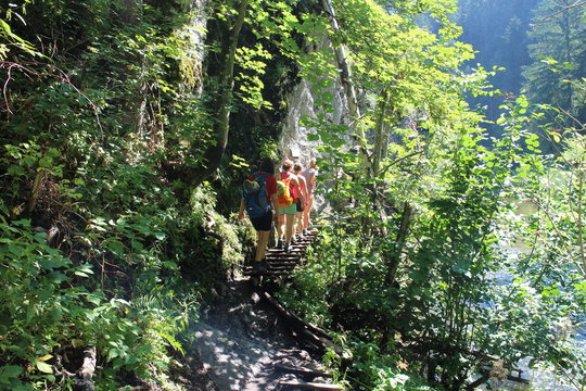 Wooden ladder with trekkers in Canyon Prielom Hornadu in Slovenský raj (Slovak Paradise National Park),Slovakia 

