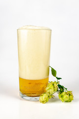 A pint of bright tasty beer with foam. Hop cones next to a cold alcoholic drink.