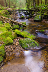 Naklejka na ściany i meble Small creek in the Carpathian Mountains in the autumn season
