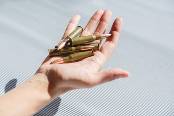 Ammo for the rifle in the palm