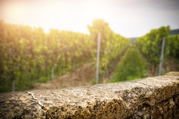 wall in wineyard  
