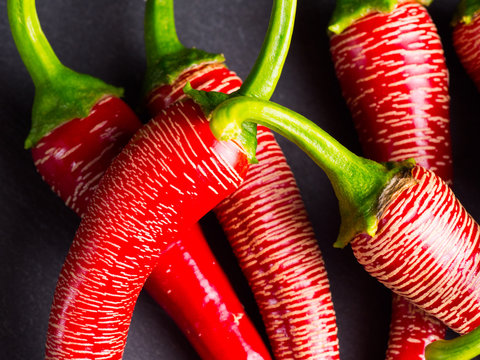 Red chilis on grey background