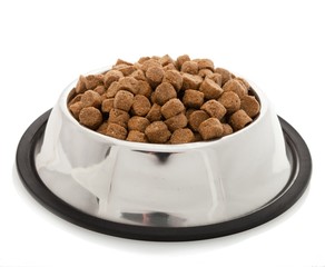 Dog food in Silver Bowl on a Background