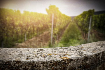 wall in wineyard  