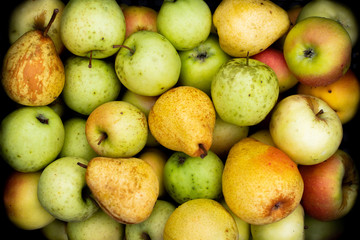 Fresh apples and pears in autumn garden