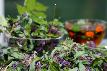 collection of dried herbs
