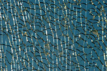 Naklejka premium Ice or crackled glass