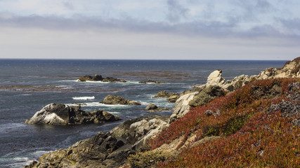 PCH roadtrip scenic view