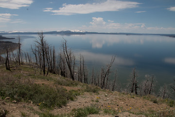 Yellowstone Lake 6