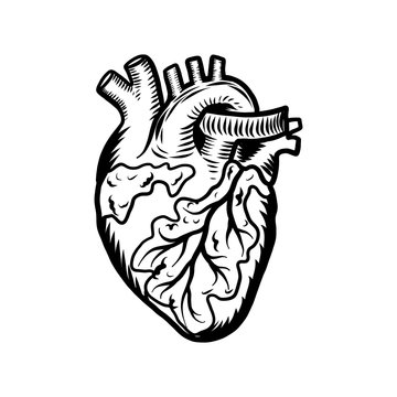 Tattoo heart icon. Hand drawn illustration of tattoo heart vector icon for web design