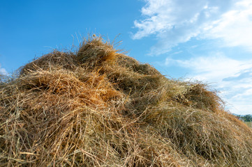 a pile of dry grass lies in the garden against the sky