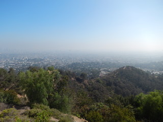 Fototapeta premium Skyline