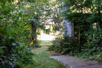 Wooded Path