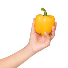 hand holding yellow Bell Pepper isolated on white background © cloud7days