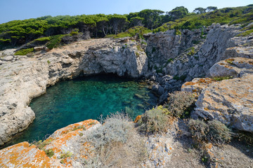 Puglia, Italy, August 2018, the rocks and the pine forest in Cala Tonda of San Domino island on a sunny day