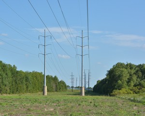 Easement