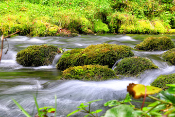 Fototapeta na wymiar Mountain stream among the mossy stones