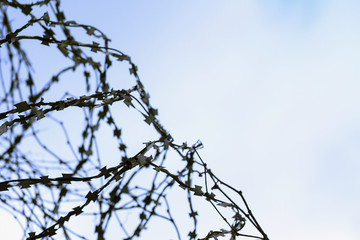 razor barbed wire