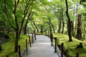 古都京都　銀閣寺を散策