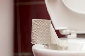 Toilet paper in the toilet