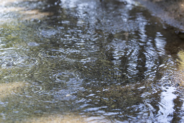Raindrops on the water