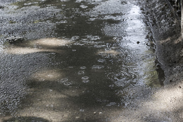Raindrops on the city sidewalk