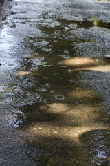 Raindrops on the city sidewalk