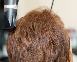 Fototapeta premium wrap hair curling in a beauty salon