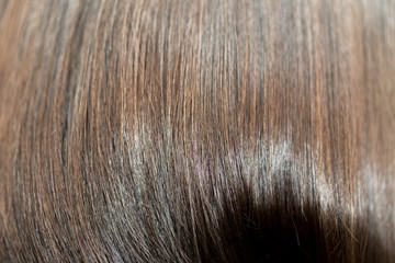 Fototapeta premium background of women's hair
