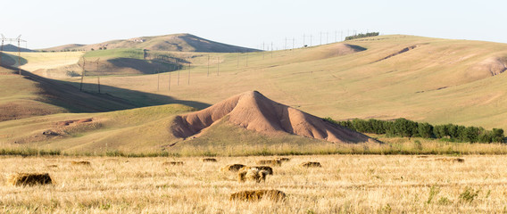 Fototapeta na wymiar Endless golden color kazakh grass landscape