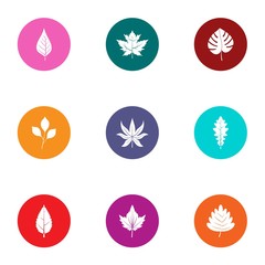Foliage icons set. Flat set of 9 foliage vector icons for web isolated on white background