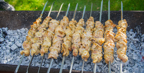 Meat skewers on grill closeup.