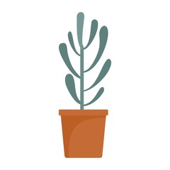 Plant tree cactus icon. Flat illustration of plant tree cactus vector icon for web design