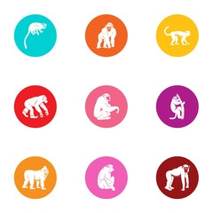 Fototapeta premium Anthropoid icons set. Flat set of 9 anthropoid vector icons for web isolated on white background