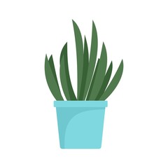 Cacti pot icon. Flat illustration of cacti pot vector icon for web design