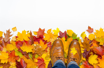 brogues and autumn leaves isolated on white background