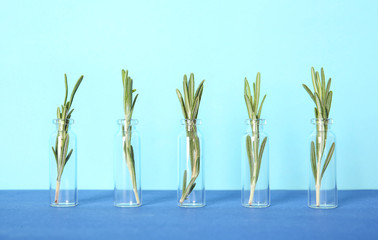 Row of glass bottles with rosemary on color background