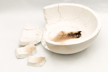 fragments of plaster ware
