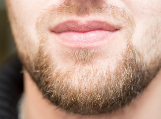 male beard close-up