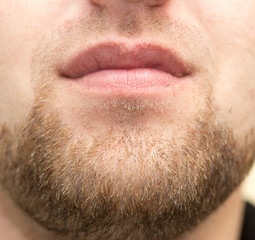 Obraz premium male beard close-up