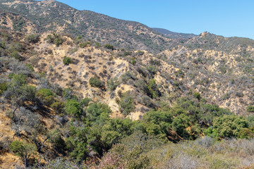Fototapeta na wymiar Morning sun covers hiking trails of Southern California mountain area
